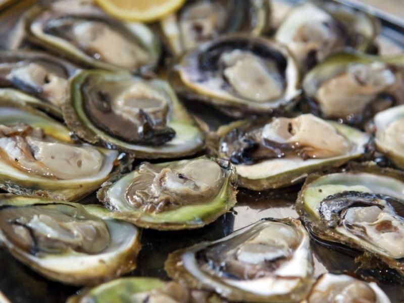 Autotour explorez l'Istrie et la Dalmatie en 8 jours pas cher photo 2