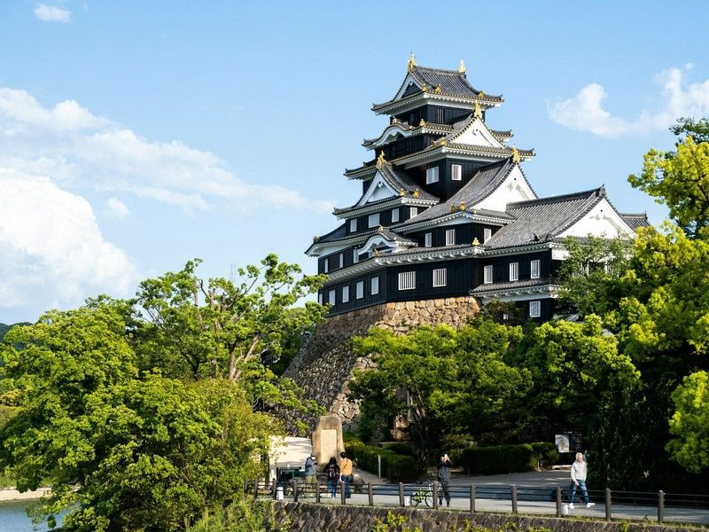 Le Japon sous toutes ses formes : Circuit individuel en 3*ou 4* pas cher photo 5