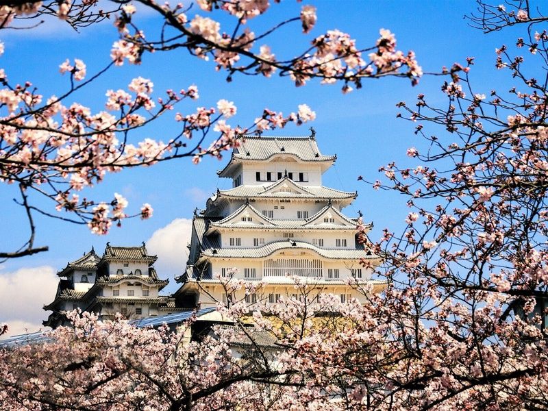 Le Japon sous toutes ses formes : Circuit individuel en 3*ou 4* pas cher photo 11