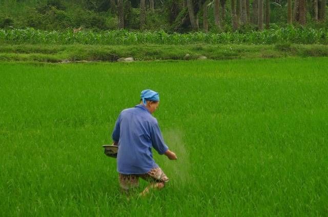 TONKIN HORS SENTIERS pas cher photo 6