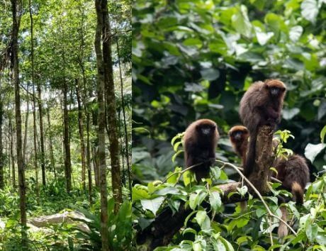 Circuit Pérou Inkassable pas cher photo 6