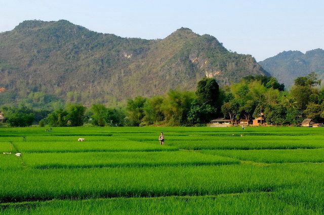 MOSAIQUE VIETNAMIENNE EXT CAMBODGE pas cher photo 4