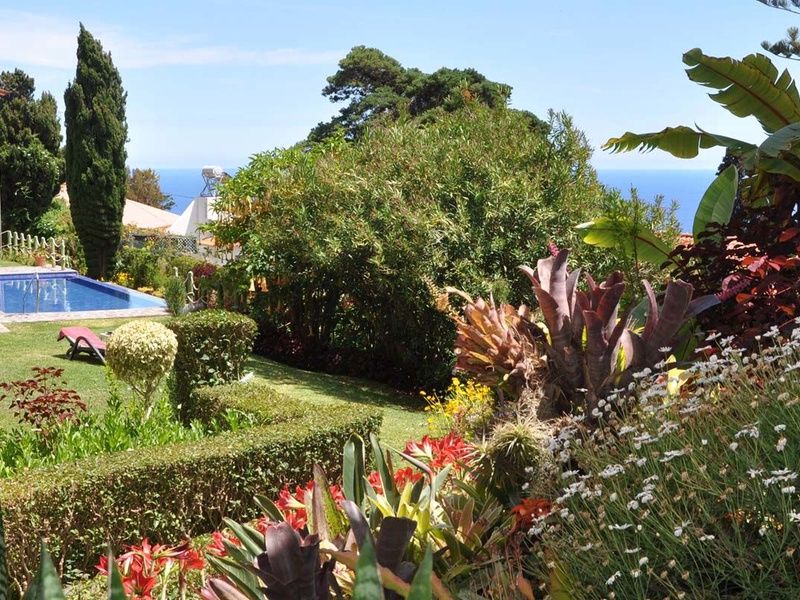 Circuit Echappée Jardins de Madère depuis le Dom Pedro Garajau 3* pas cher photo 12