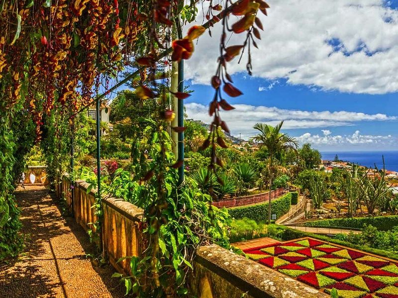 Circuit Echappée Jardins de Madère depuis depuis le Madeira Panoramico 4* pas cher photo 4