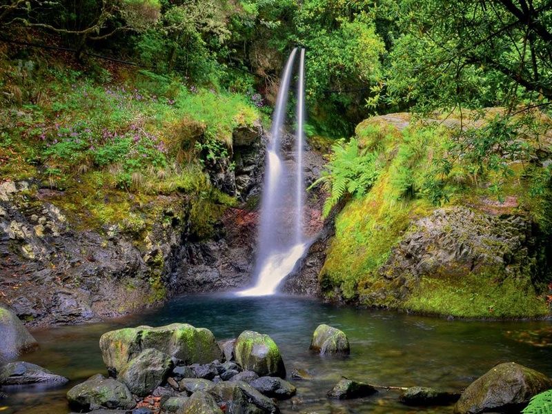Circuit Echappée Sentiers de Madère depuis l'hôtel Cabo Girão 4* pas cher photo 2