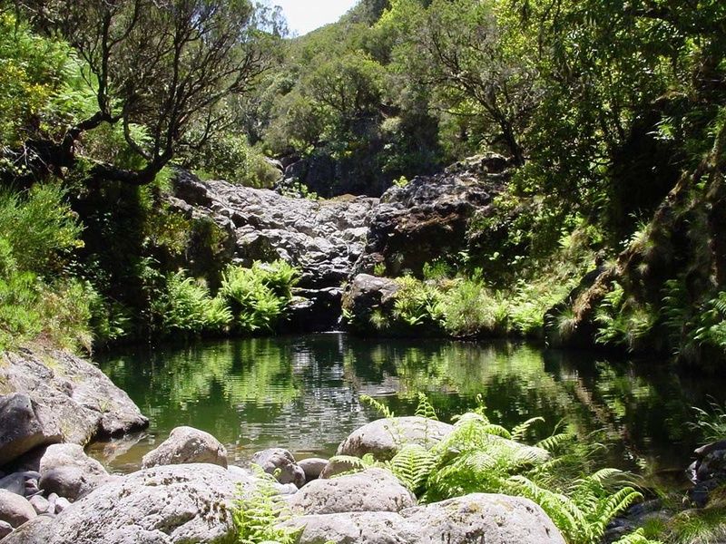Circuit Echappée Sentiers de Madère depuis l'hôtel Cabo Girão 4* pas cher photo 4