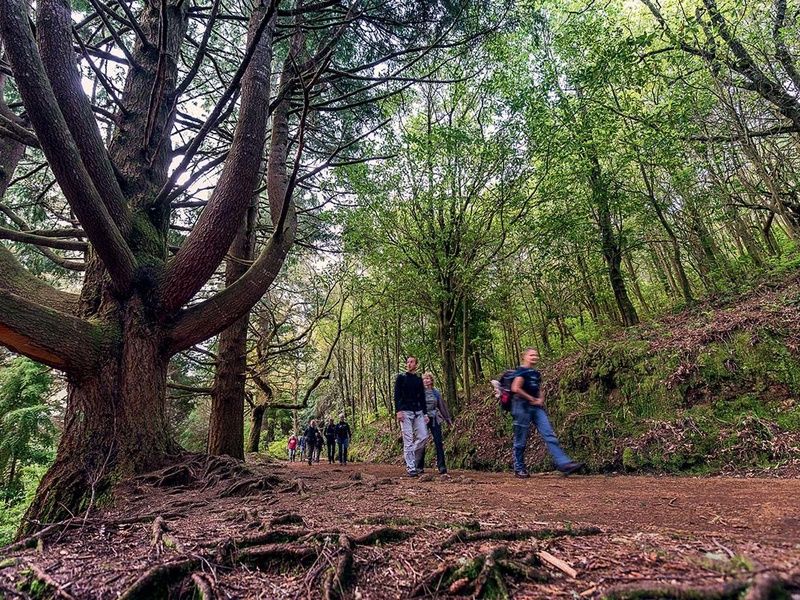 Circuit Echappée Sentiers de Madère depuis l'hôtel Cabo Girão 4* pas cher photo 9