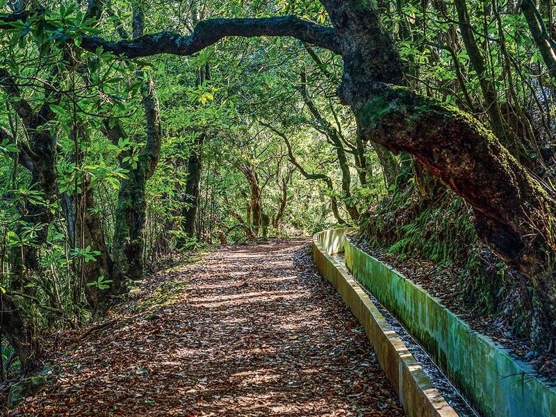 Circuit Echappée entre Terre et Mer à Madère depuis l'hôtel Cabo Girão 4* pas cher photo 2
