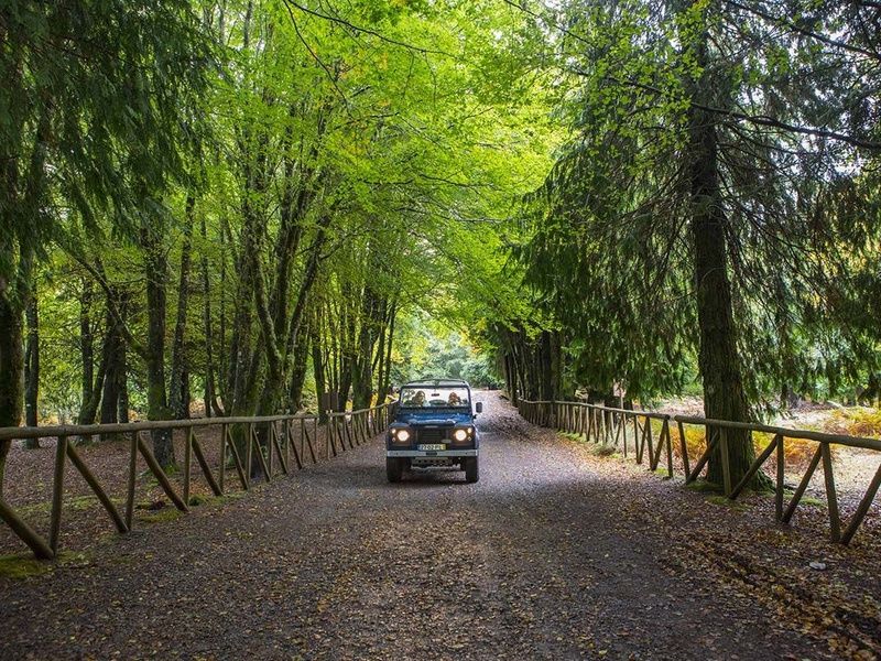 Circuit Echappée entre Terre et Mer à Madère depuis l'hôtel Cabo Girão 4* pas cher photo 8