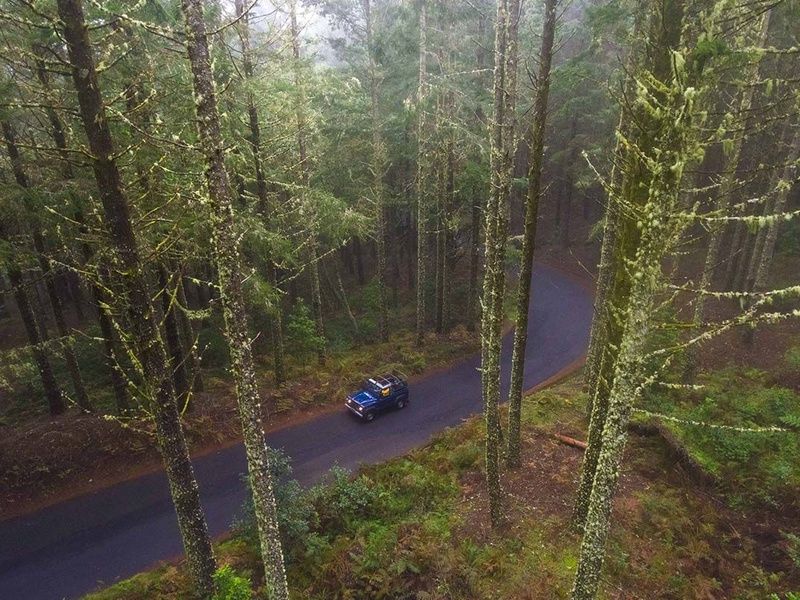 Circuit Echappée entre Terre et Mer à Madère depuis l'hôtel Cabo Girão 4* pas cher photo 13