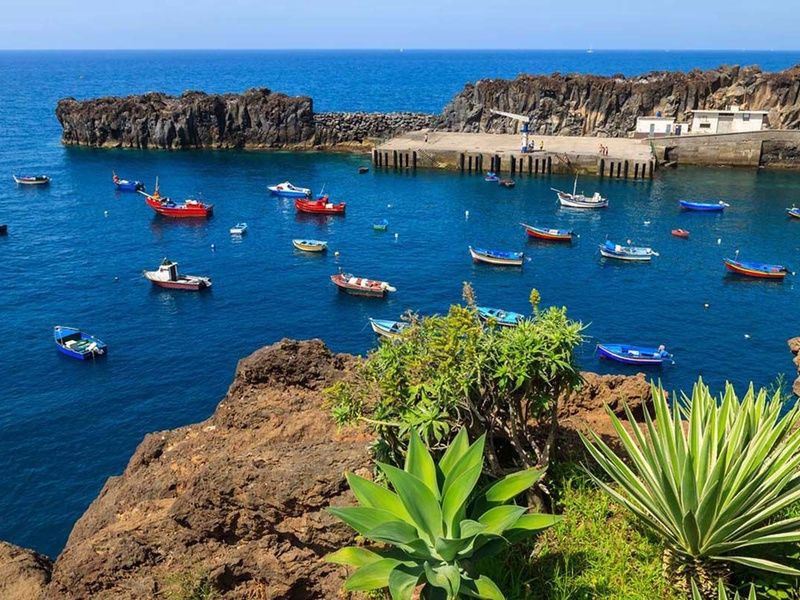 Circuit Echappée entre Terre et Mer à Madère depuis l'hôtel Cabo Girão 4* pas cher photo 21