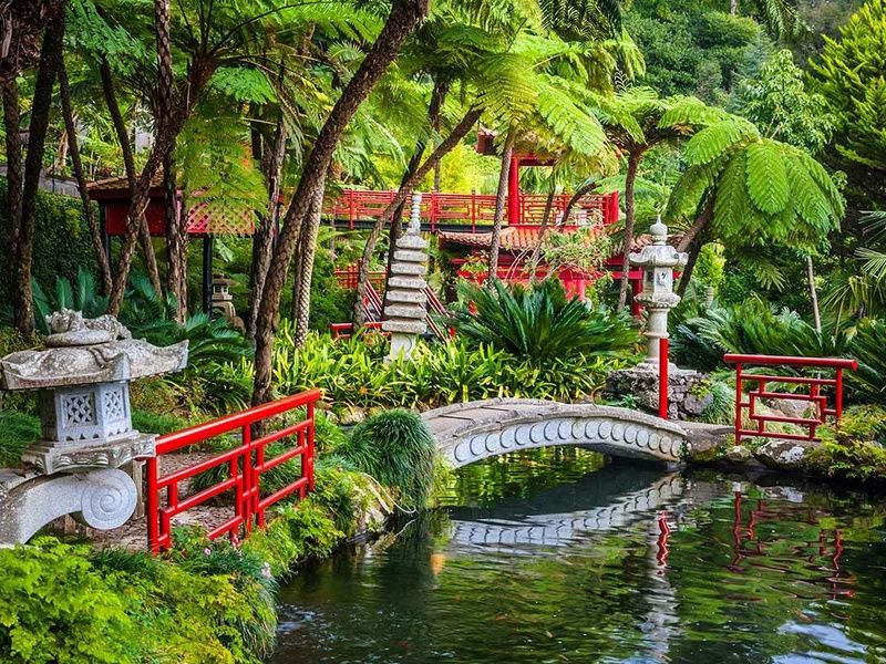 Circuit Echappée Jardins de Madère depuis le Riu Madeira 4* pas cher photo 2
