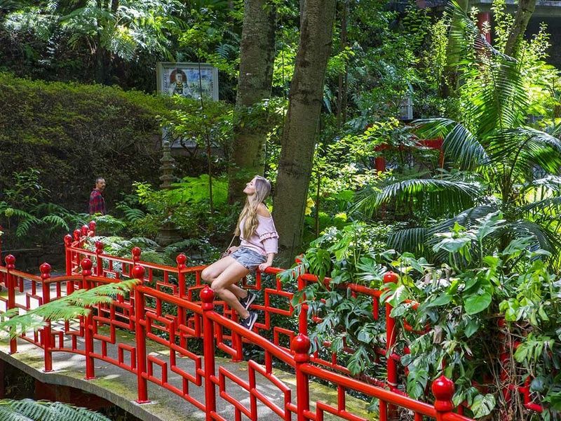 Circuit Echappée Jardins de Madère depuis le Riu Madeira 4* pas cher photo 10
