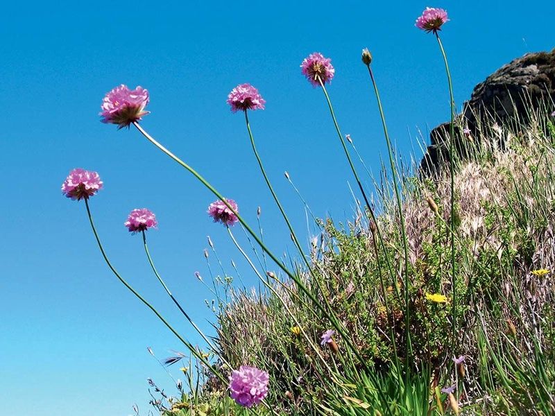 Circuit Échappée Active à Madère depuis l'hôtel Cabo Girão 4* pas cher photo 10