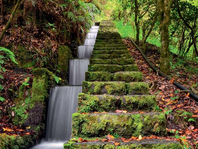 Circuit Échappée Active à Madère depuis l'hôtel Cabo Girão 4* pas cher photo 11
