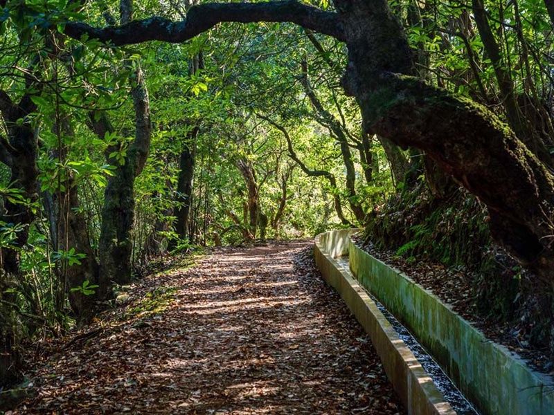 Circuit Échappée Active à Madère depuis l'hôtel Cabo Girão 4* pas cher photo 12
