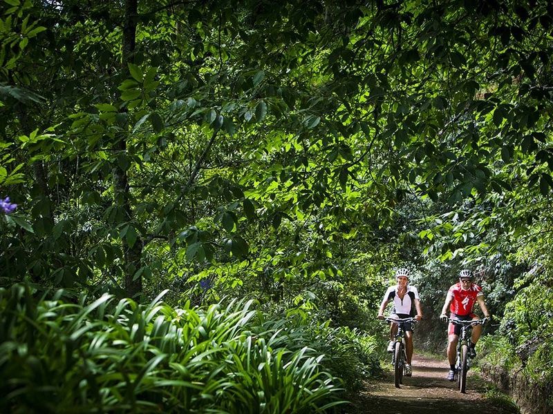 Circuit Échappée Active à Madère depuis l'hôtel Cabo Girão 4* pas cher photo 20