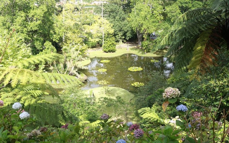 Au Coeur des Açores - Iles des Acores pas cher photo 2
