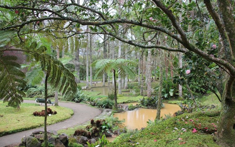 Road Trip aux Açores - Iles des Acores pas cher photo 4