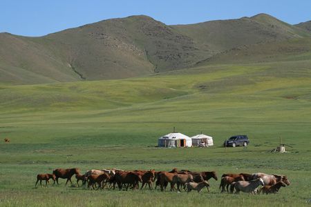 Circuit Immersion en Mongolie pas cher photo 2