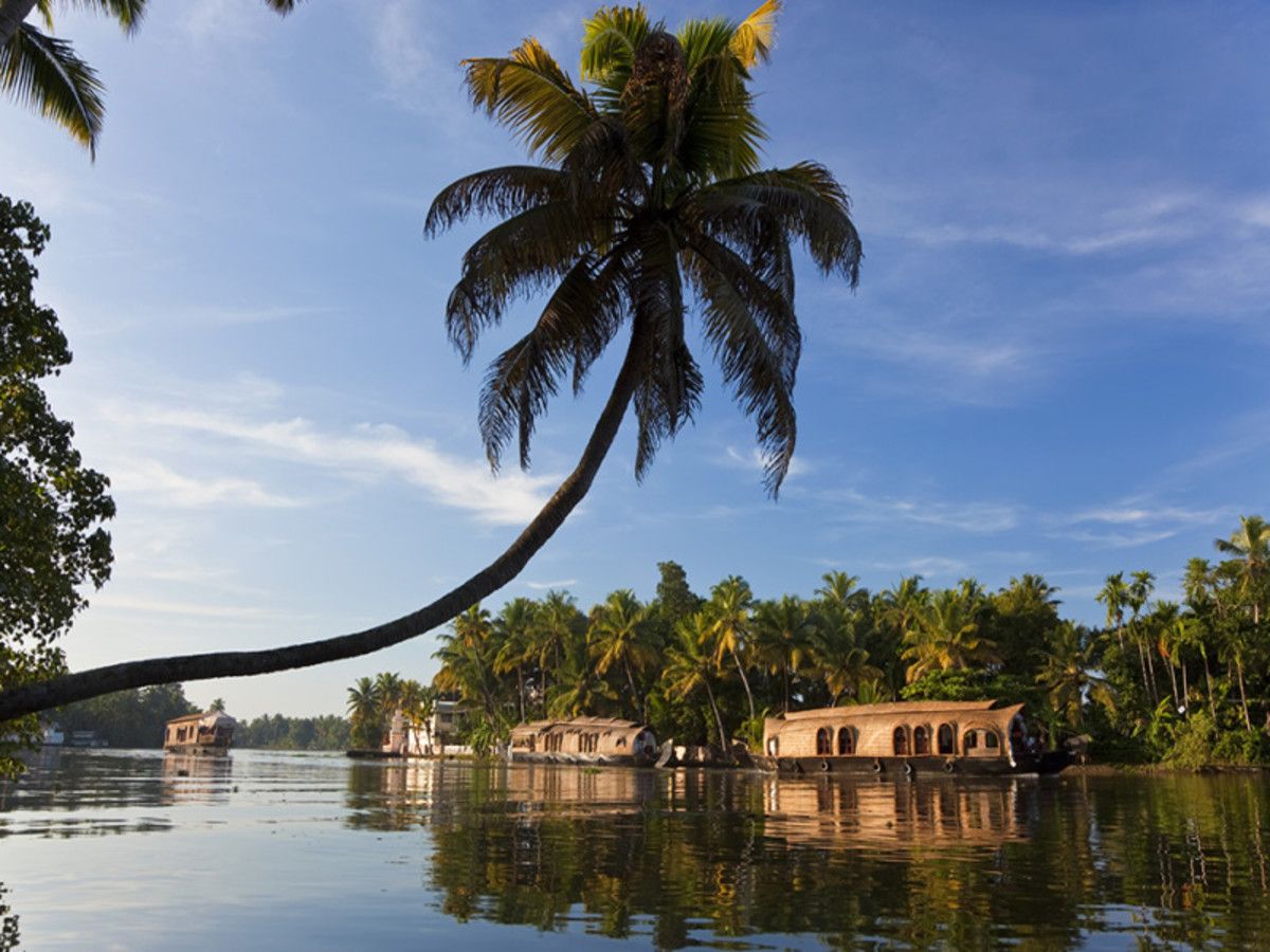 Circuit des Cités Sacrées aux Lagunes de Kerala pas cher photo 8