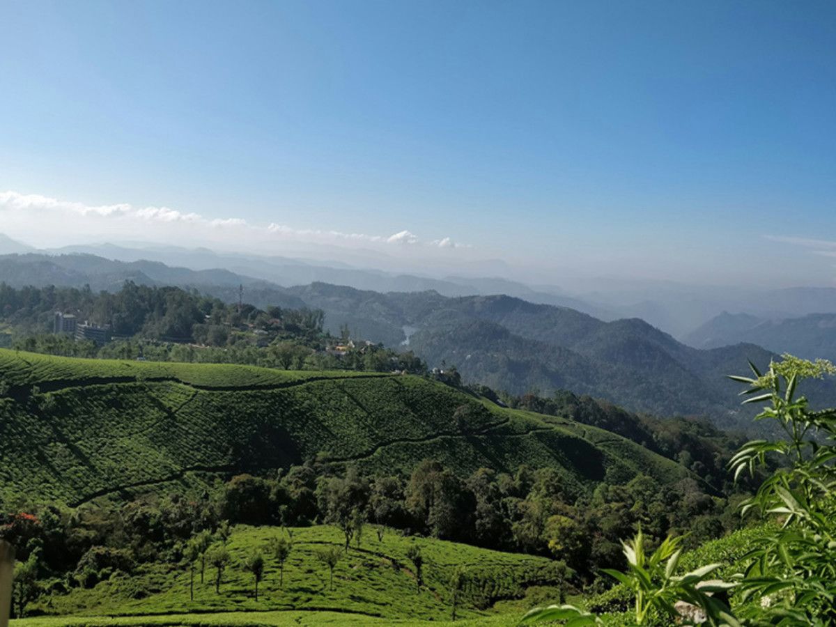 Circuit des Cités Sacrées aux Lagunes de Kerala pas cher photo 7