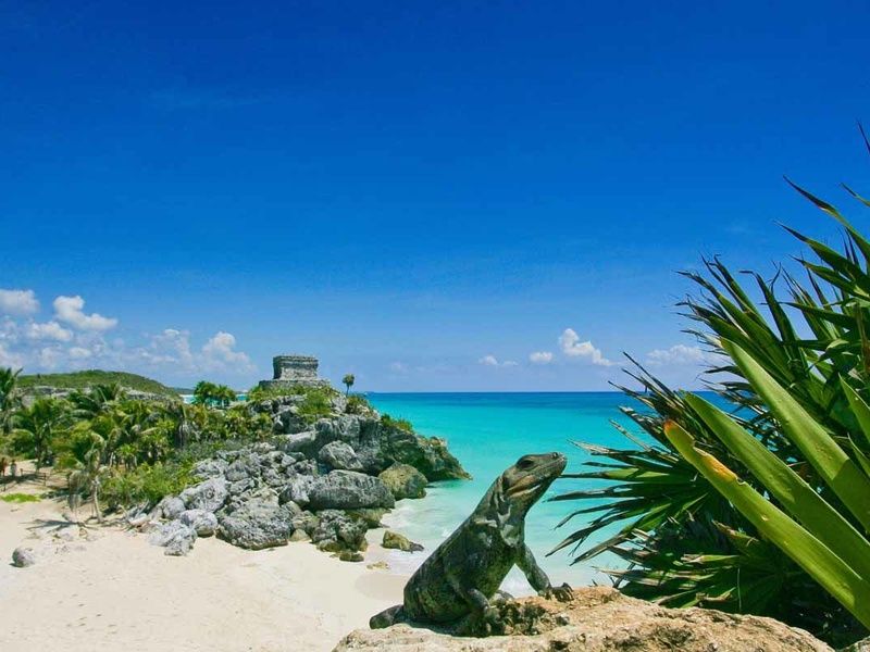 Autotour A la découverte du Yucatan pas cher