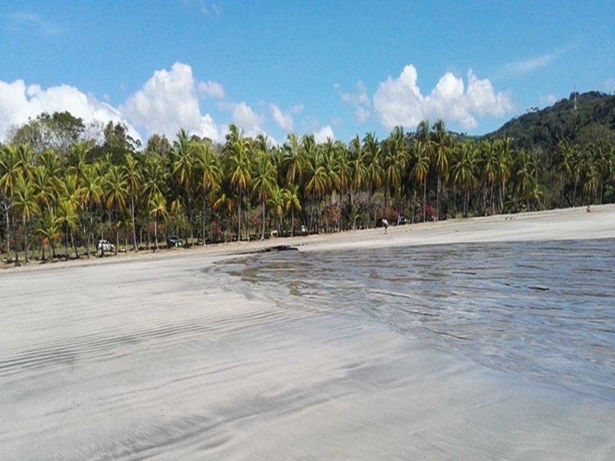 Aventure Totale au Costa Rica : Version 100% Pura Vida pas cher photo 10