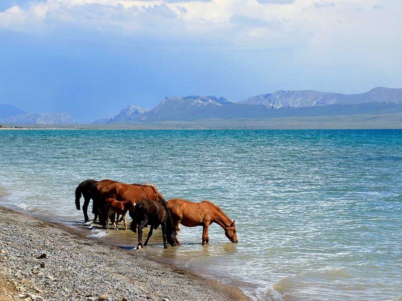 Circuit Découverte du Kirghizistan pas cher photo 14