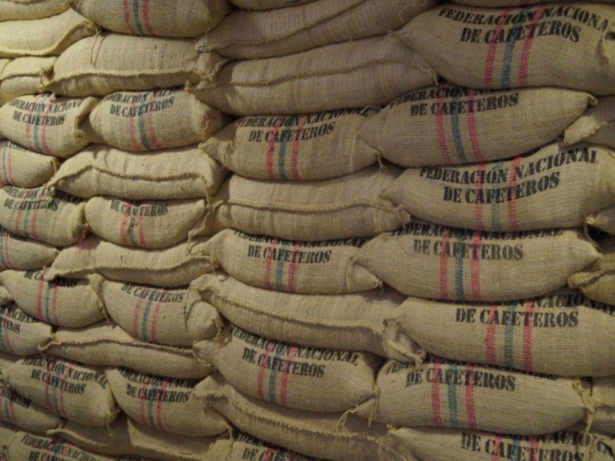 Circuit Enivrante, Colombie sur la route du café pas cher photo 3