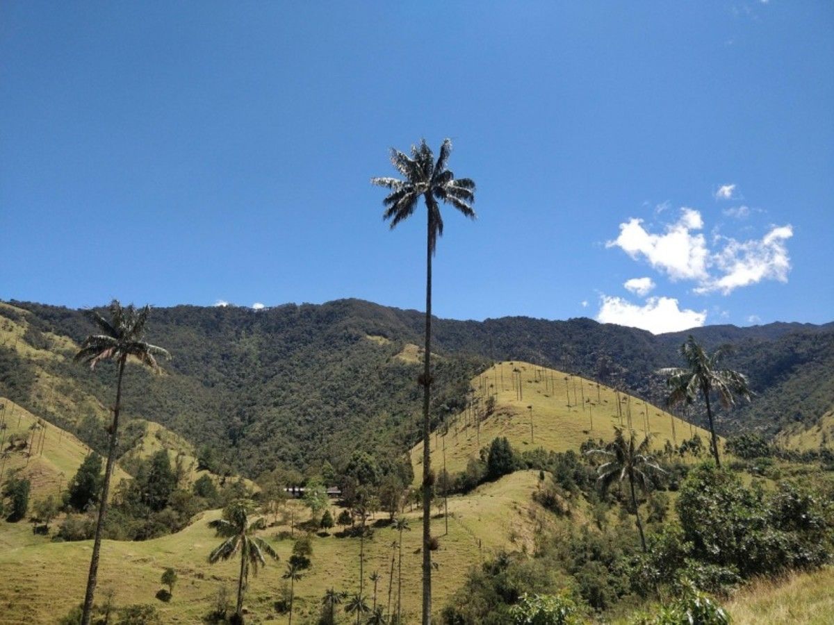 Circuit Enivrante, Colombie sur la route du café pas cher photo 4