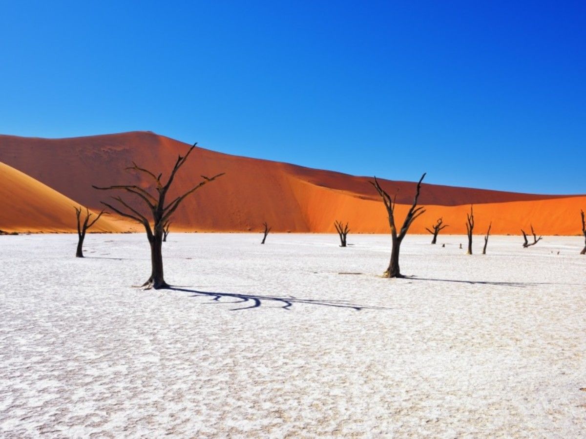 Parcours Namibien 2026 pas cher photo 7