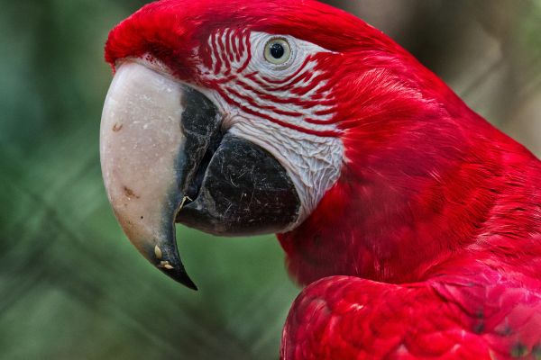 Circuit Rythmes du Sud : de Buenos Aires à Rio de Janeiro pas cher photo 9