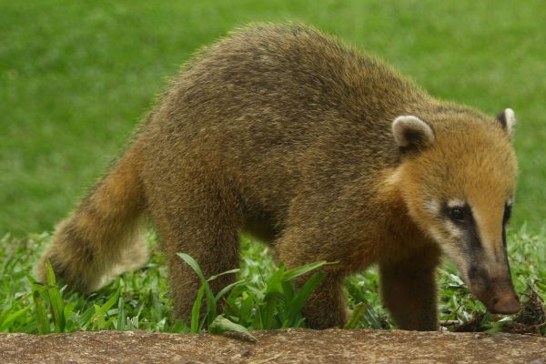 Circuit Rythmes du Sud : de Buenos Aires à Rio de Janeiro pas cher photo 10