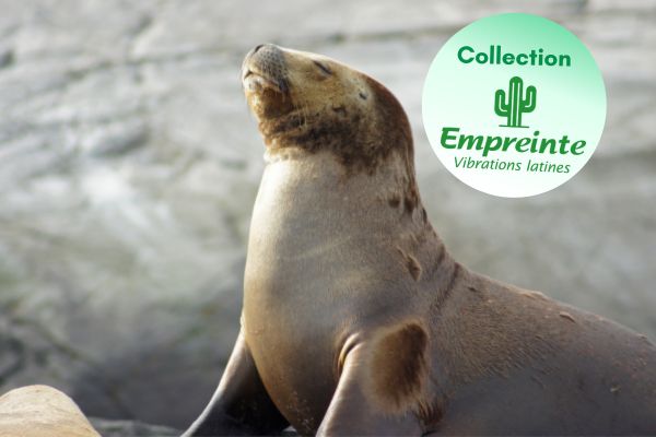 Circuit Contrastes de la Terre de Feu et du Nord Argentin pas cher photo 1