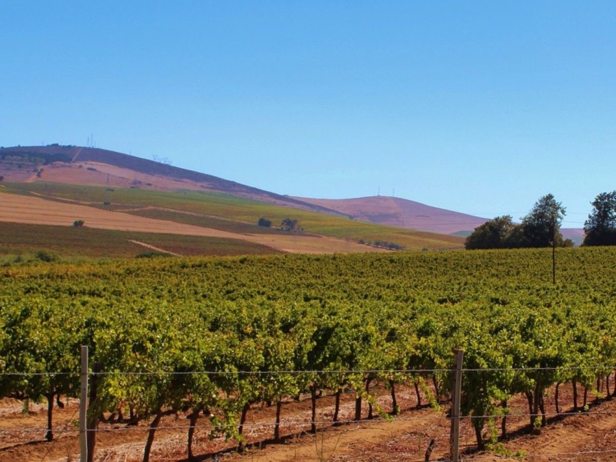 Patchwork Sud Africain Et Victoria Falls 2026 pas cher photo 3