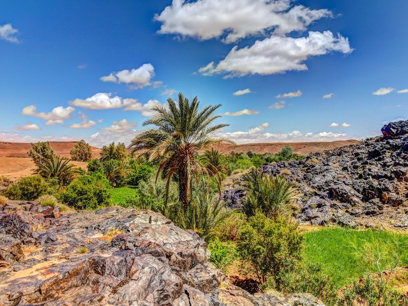 Circuit Merveilles Du Sahara au départ de Marrakech pas cher photo 37