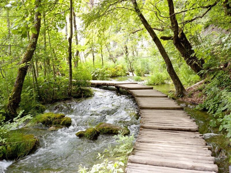 Autotour Patrimoine de l'UNESCO pas cher