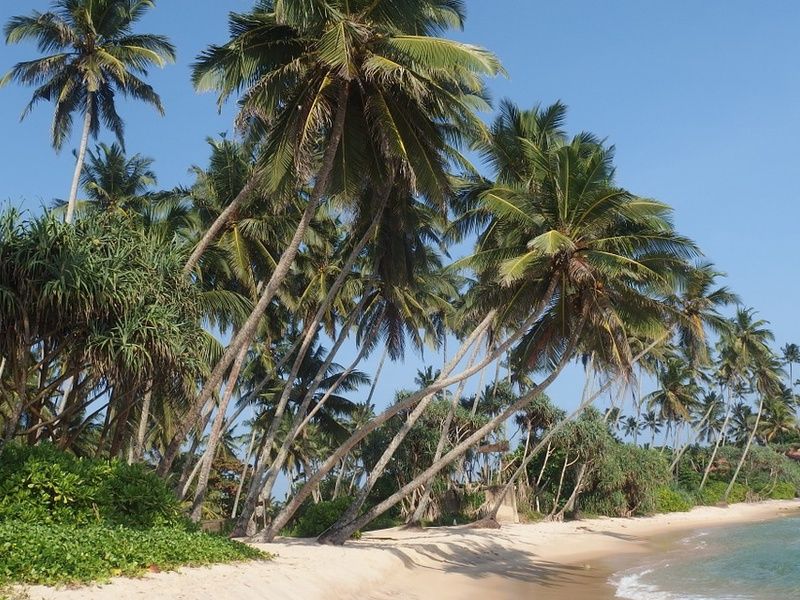 Circuit Privilège Sri Lanka en privatif pas cher photo 19