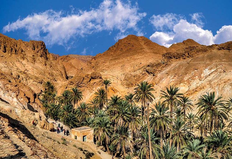 Circuit La Rose des Sables, à la découverte du Grand Sud de la Tunisie pas cher photo 2