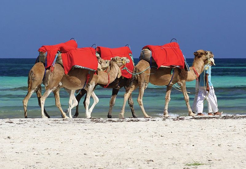Circuit La Rose des Sables, à la découverte du Grand Sud de la Tunisie pas cher photo 11