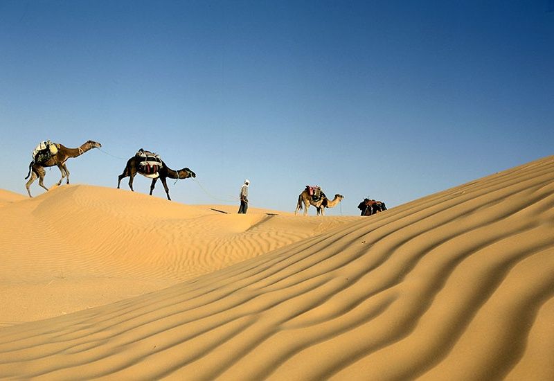 Circuit Le Grand Tour de Tunisie pas cher photo 8