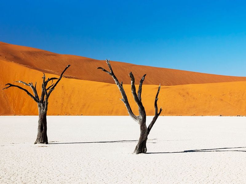 Circuit l'essentiel de la Namibie pas cher photo 1