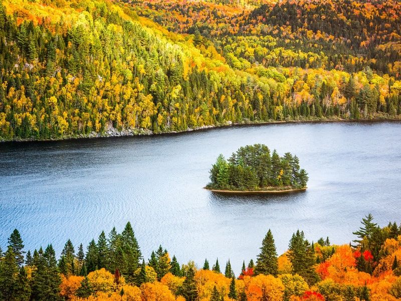 Circuit en étoile à Montréal pas cher photo 5
