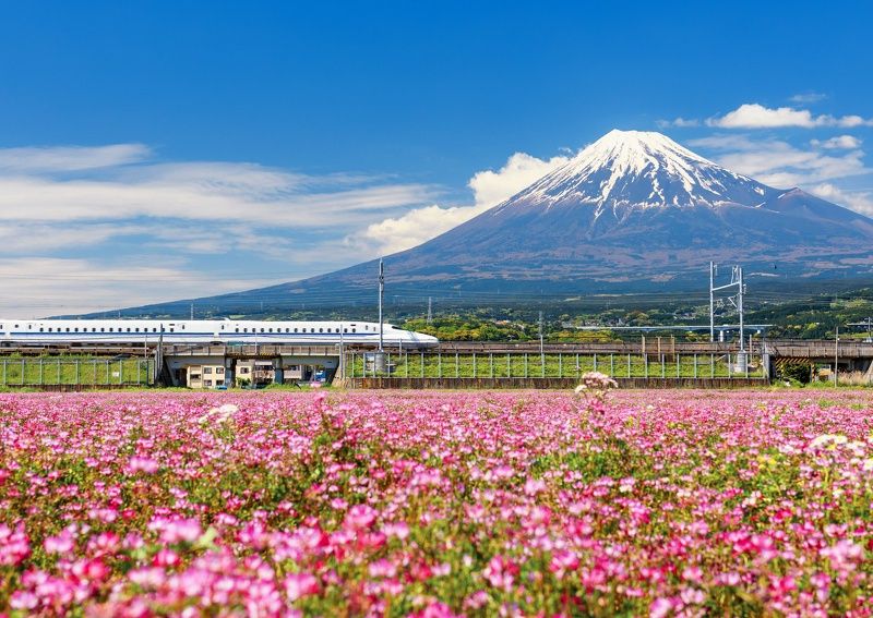 Circuit individuel: Des essentiels au Mont Fuji en 3* ou 4* pas cher photo 1