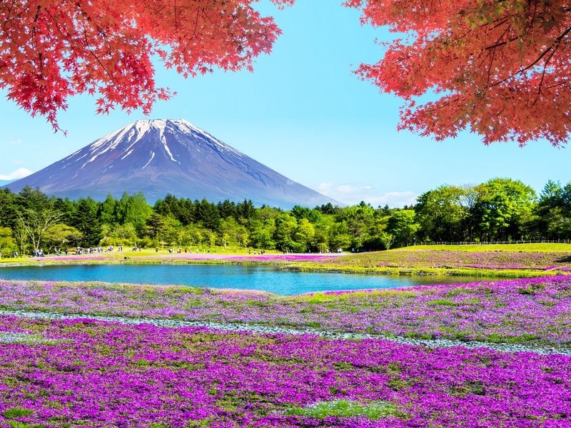 Circuit individuel: Des essentiels au Mont Fuji en 3* ou 4* pas cher photo 7