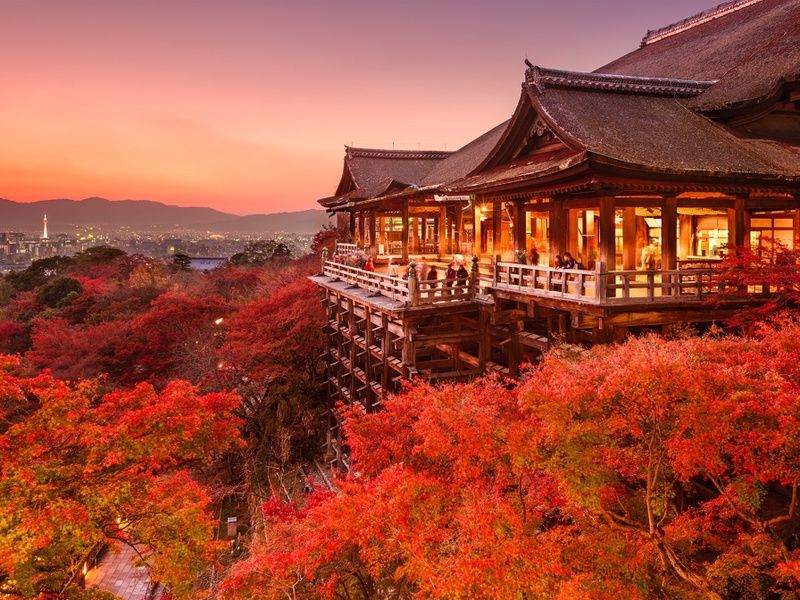 Circuit individuel: Des essentiels au Mont Fuji en 3* ou 4* pas cher photo 8