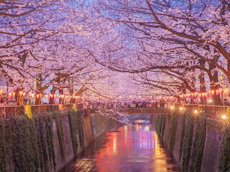 Circuit individuel : L'intégral du Japon en 3* ou 4* pas cher photo 13