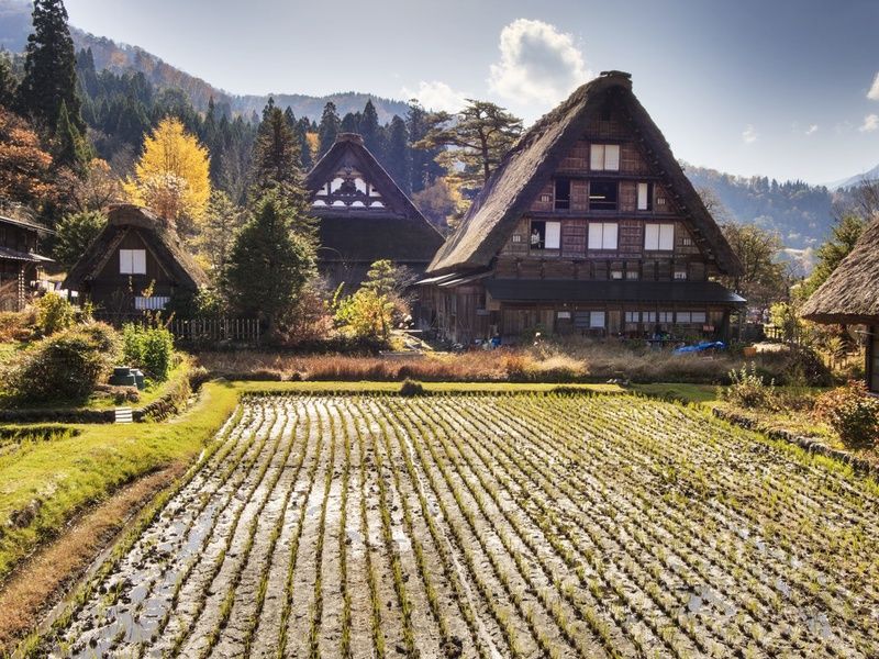 Circuit individuel : L'intégral du Japon en 3* ou 4* pas cher photo 19