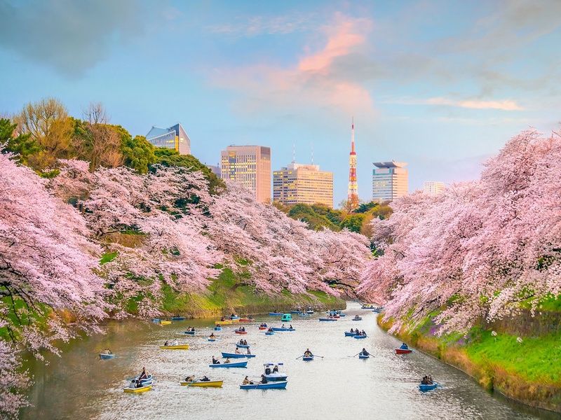 Combiné : La Grande Découverte du Japon et de la Corée en 3 semaines pas cher photo 4